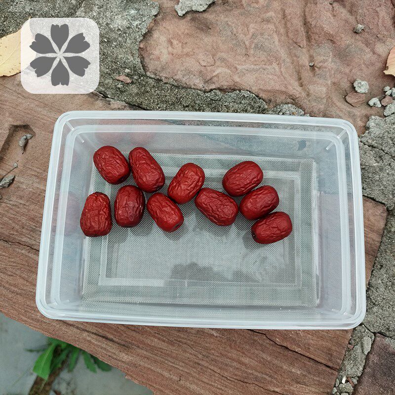 洋虫饲养盒 幼虫爬虫繁殖盒九龙虫饲养盒粪便分离器具 爬宠养殖盒