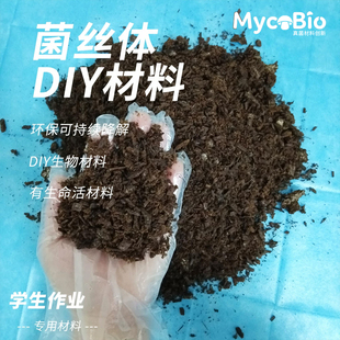 学生创意DIY菌丝体材料 | 自然生长环保材料 | 模具培养白色菌丝
