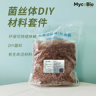 菌丝体原材料 手工爱好者DIY生物基材可持续材料 天然有机原料