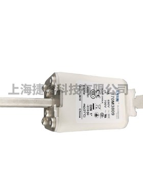 170M3809  170M3471 快速熔断器  电子元器件 型号齐全 量大价优
