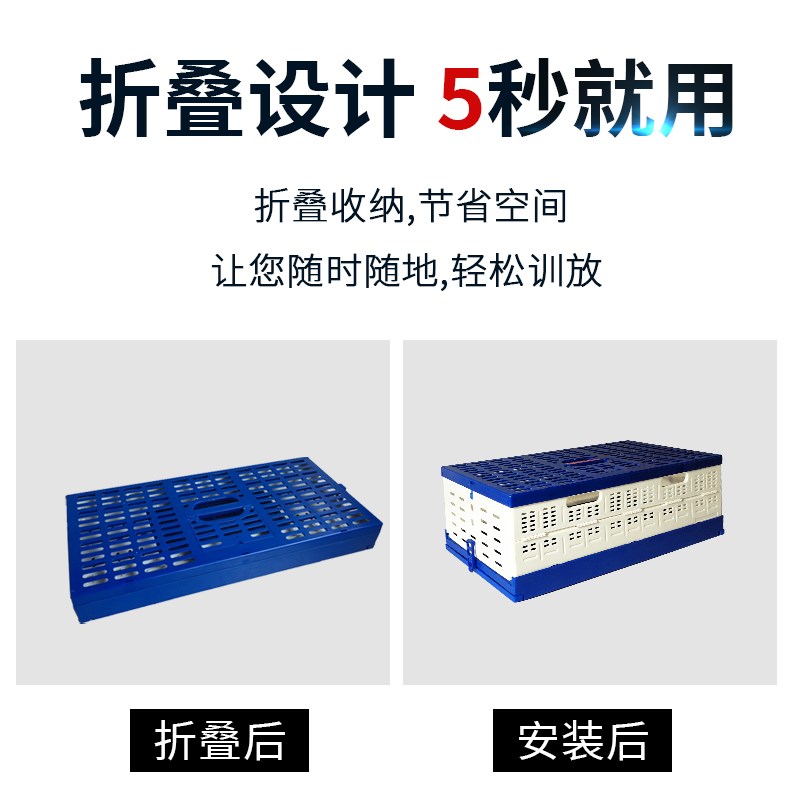 鸽子训放笼信鸽塑料笼专用放飞笼折叠运输报道笼赛鸽鸽笼子