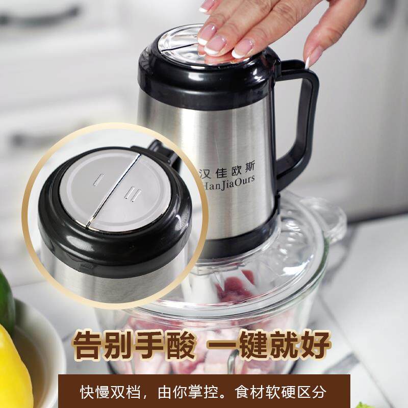 汉佳欧斯家用电动绞肉陷大蒜头肉泥机打辣椒酱杌器缴榨饺打肉沫机