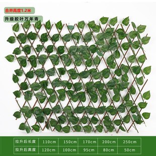 仿真绿萝叶 饰伸缩篱笆 仿真篱笆 伸缩栅栏花朵围栏户外庭院装