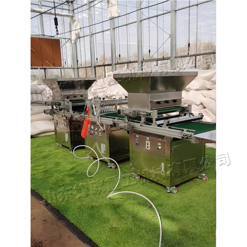 蔬菜用穴盘播种机 花卉穴盘育苗机 农业生产合作社自动育苗设备