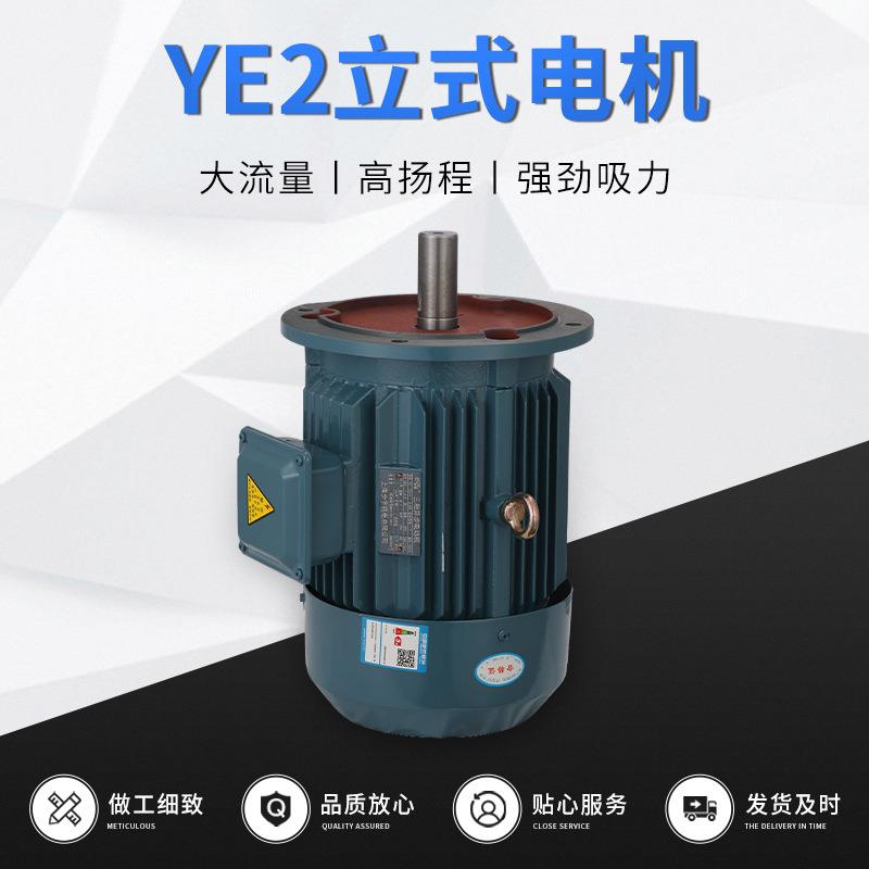 机械设备用电动机异步电动机YE2立式电机厂家供应现货可定