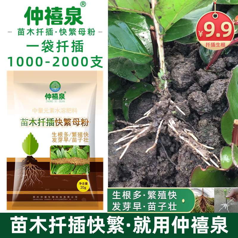 生根粉苗木扦插生根剂生根液发根插千育苗生根壮苗剂水溶肥营养液