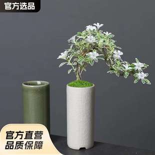 小直筒冰裂釉迷你花盆多肉绿植竹柏酒店花器创意陶瓷桌面盆栽有孔