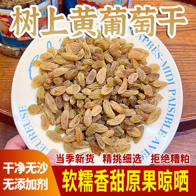 当季新货新疆树上黄葡萄干休闲零食