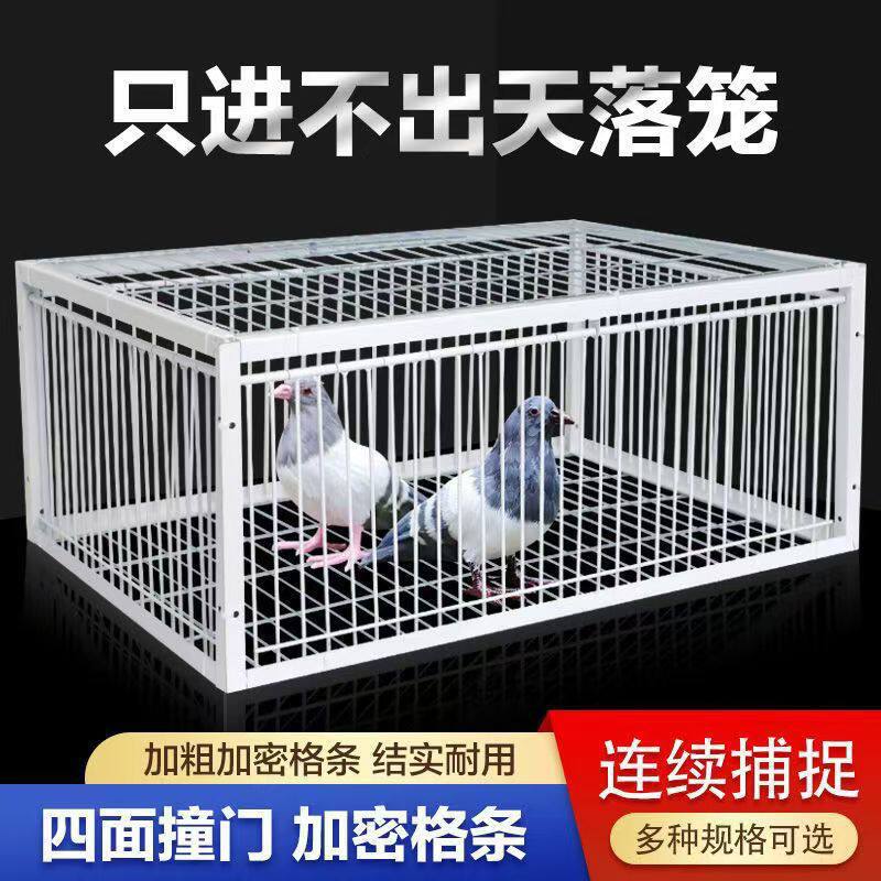 天落笼鸽子笼鸽子活络门只进不出撞门鸽笼铁笼跳笼自动门神器捕捉
