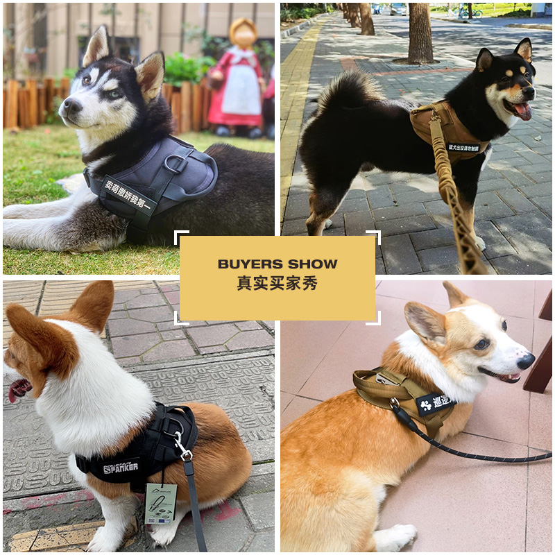 出众者狗狗牵引绳背心式狗胸背带大型犬拉布拉多金毛马犬狗绳