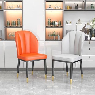 简易现代轻奢北欧家用靠背网红餐椅化妆美甲书桌酒店铁艺餐桌椅子