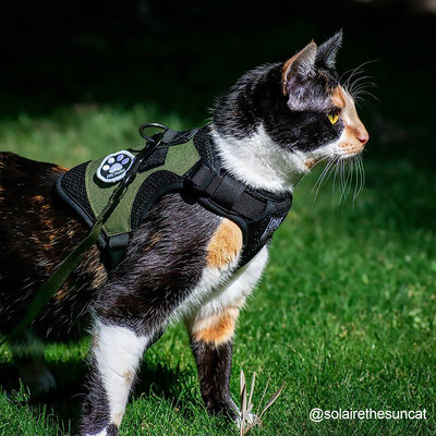 壹虎【潜航员】猫咪牵引绳背心式防挣脱柯基泰迪小型犬战术狗胸背