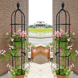 加粗款 爬藤架花园庭院户外阳台花架园艺植物铁线莲玫瑰花攀爬 月季