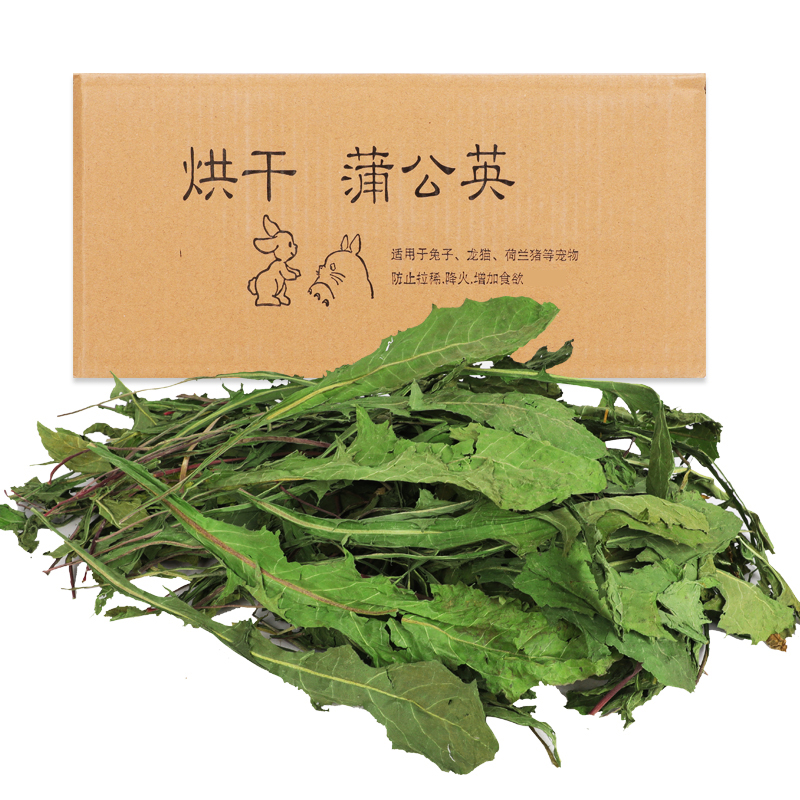 宠物兔子烘干蒲公英草大叶干草牧草龙猫豚鼠荷兰猪降火净重500g