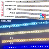 24V2835一体包胶防水户外水里用白光暖光蓝光灯带12V灌胶白光灯条
