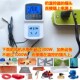 精准液晶孵化温控器1500W定时养殖棚温度控制仪表冷柜泵箱开关C08
