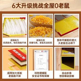 粘鼠板强力胶粘大老鼠家用室内老鼠贴一窝端超粘捕捉神器2025新款