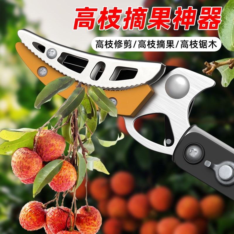 摘枇杷剪刀摘果神器伸缩荔枝高空水果加长采摘器樱桃高枝剪槐花杆