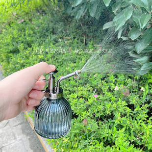 消毒清洁家用洒水壶园艺浇花壶多肉喷雾壶 复古玻璃b小喷壶气压式