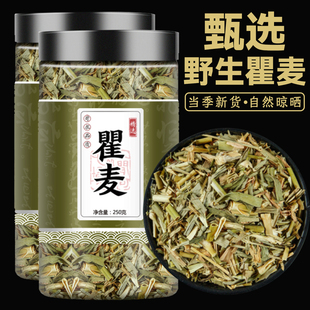 野生瞿麦中药材瞿麦巨麦山瞿麦花石竹子花十样景花正品泡茶泡水喝