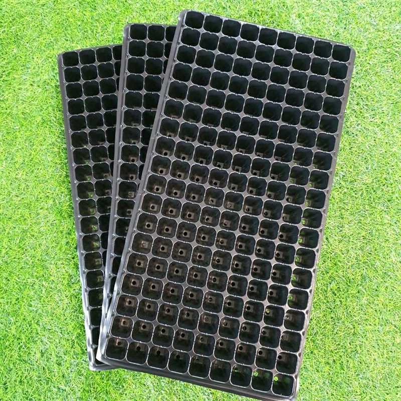 育苗穴盘162孔国标育苗盘辣椒 芹菜蔬菜通用型苗盘加厚耐折韧性强