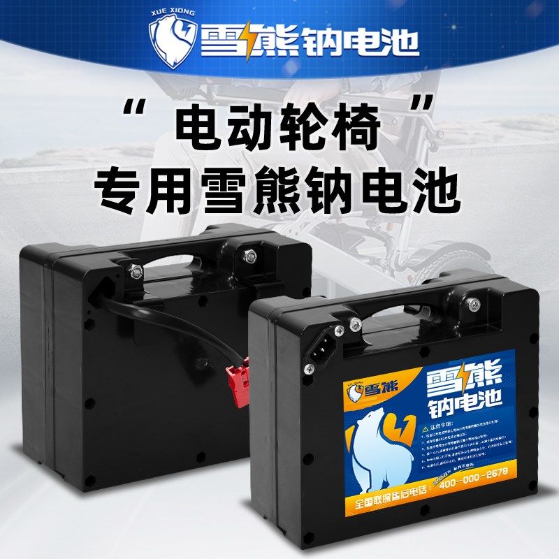 雪雄钠电池 通用电动轮椅车老年代步车特种车辆定制钠电池