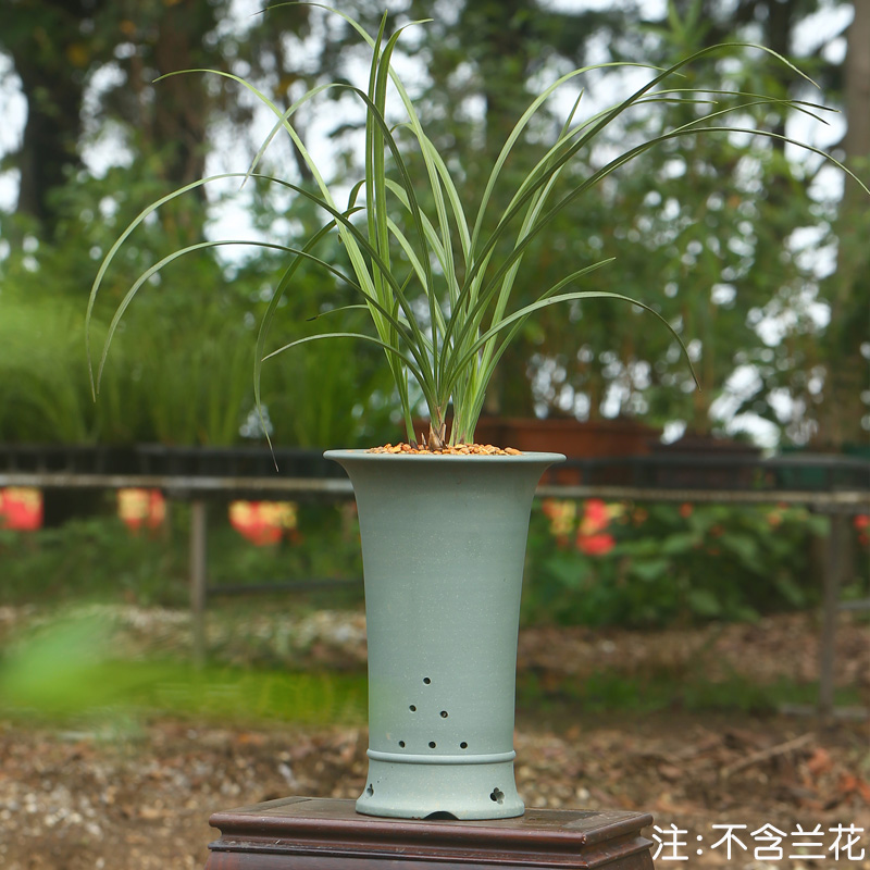 紫砂花盆兰花盆绿植花盆 果绿泥手工中小型圆梅花孔精品花盆