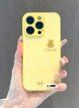 简约暴日进斗金暴富兔子适用苹果16pro手机壳iPhone15max12小米14华为mate60荣耀x100p70k50opporeno13nova11