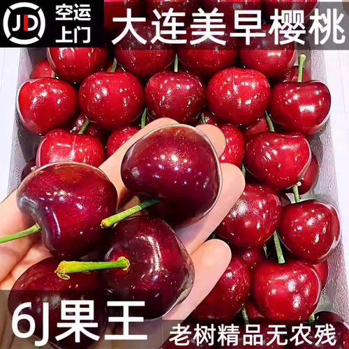 大连美早大樱桃国产车厘子当季