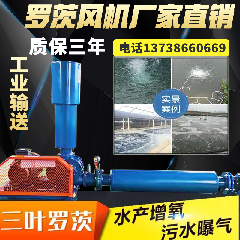 三叶罗茨风机增氧机大功率 高压曝气管道大型污水处理 鱼塘增氧泵