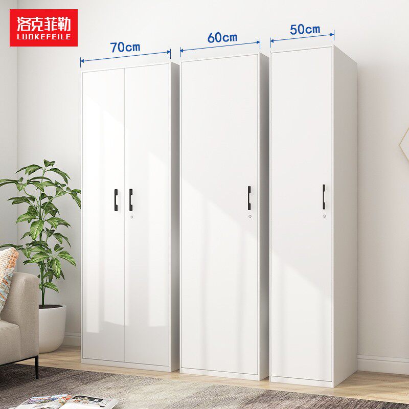 洛克菲勒 家用衣柜小户型收纳储物柜阳台柜单门钢制窄边衣柜60CM