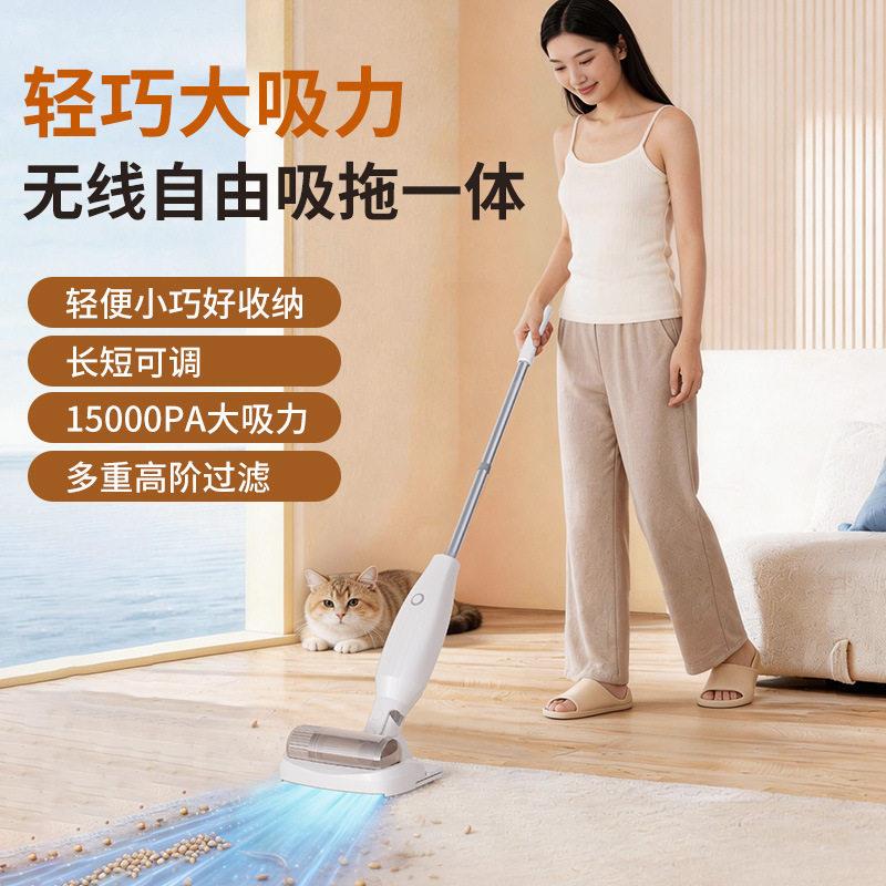 德国电动吸尘器拖地手持式吸脱无线充电便携式家用房间扫除尘器机