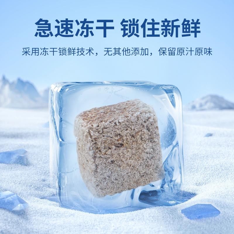 冻干水蚯蚓贴块红线虫赤虫干鱼粮六角恐龙粘贴鱼食观赏鱼冻干饲料