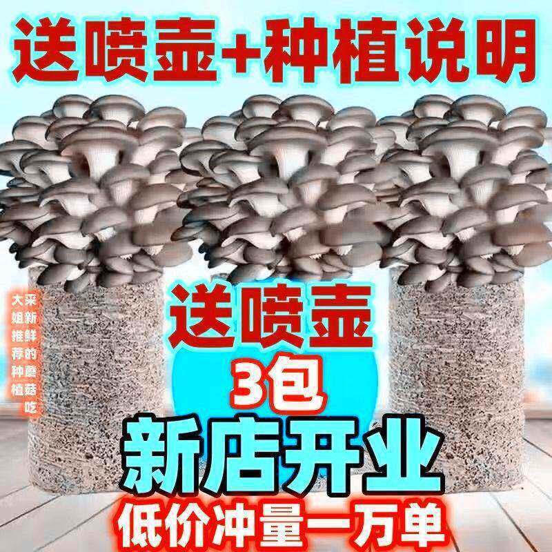 金针菇种植菌包银耳种植菌包磨姑菌种杏鲍菇种植包家庭种植棒