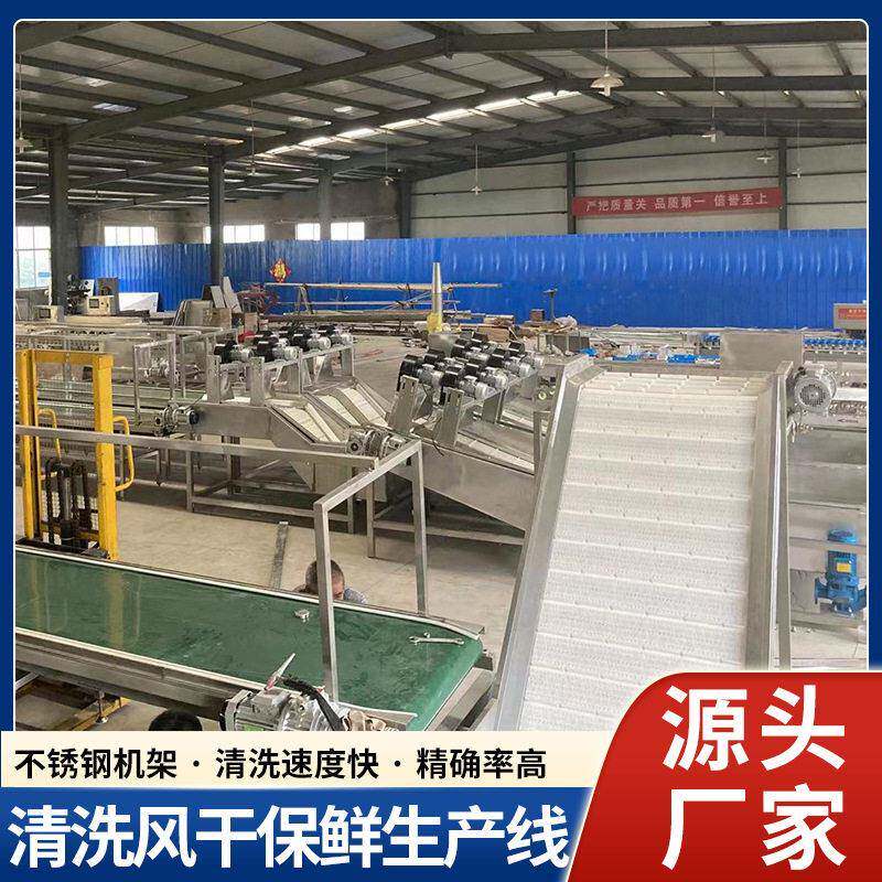 樱桃分选机等级分拣机车厘子大小分级机直径选果机厂家全自动