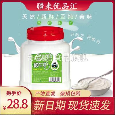 新疆天润盖瑞酸奶大桶装1.2kg装水果捞网红原味浓缩风味老酸奶