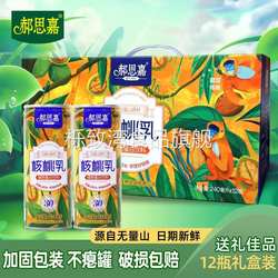 云南景东郝思嘉核桃乳原味240ml*24瓶礼盒核桃饮料植物早餐蛋白奶