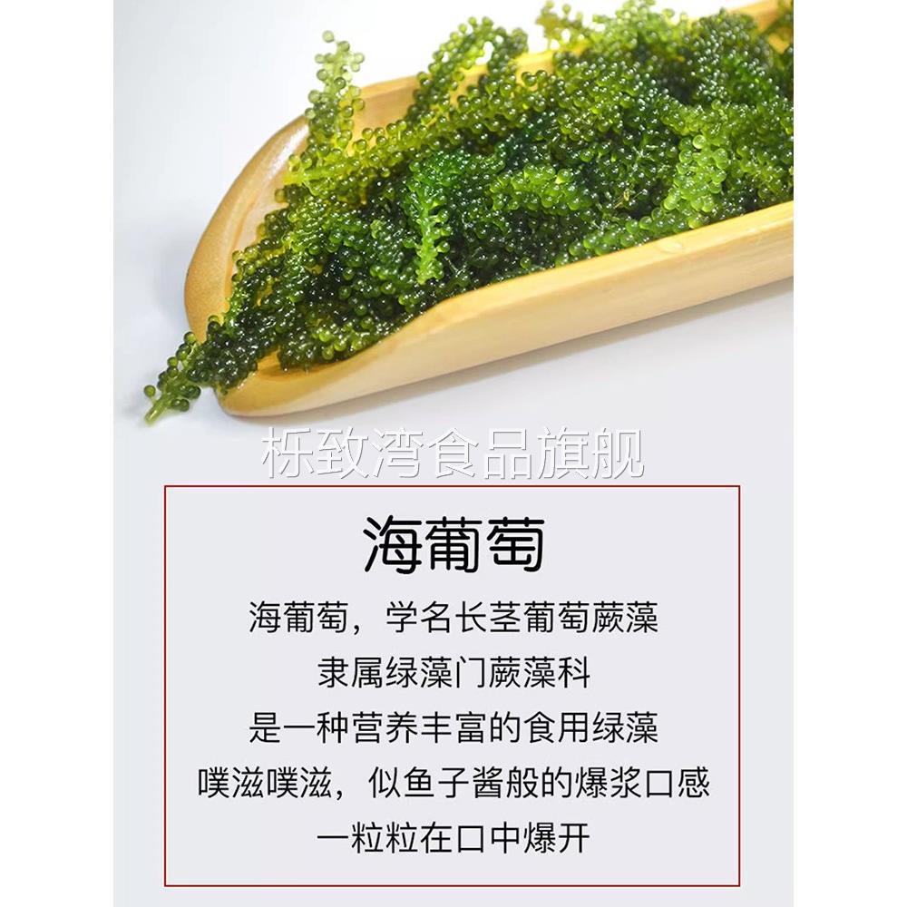 儿童海葡萄小孩吃的新鲜绿色鱼子酱即食泡发盐渍海葡萄官方旗舰店