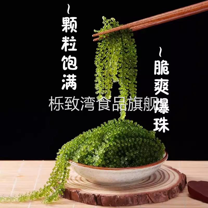 儿童海葡萄即食绿色鱼子酱官方旗舰店小孩健康零食新鲜盐渍开胃菜