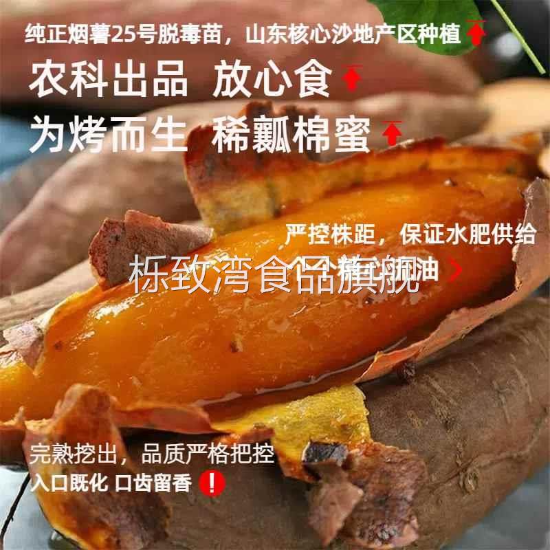 山东薯25号农科院蜜薯糖心地瓜红薯新鲜9斤农家番薯沙地烤山芋