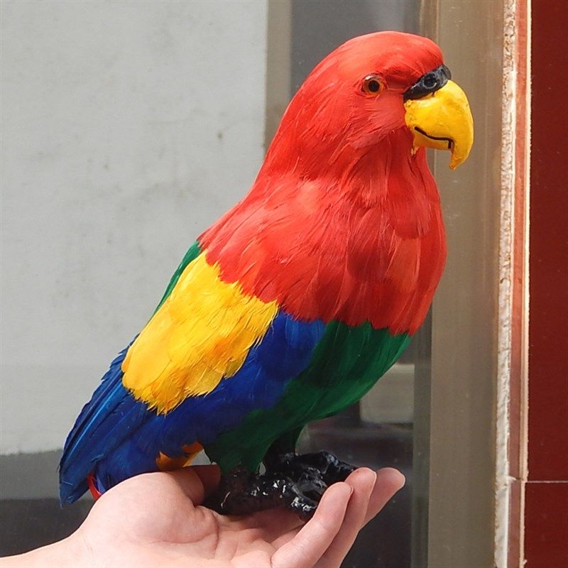 型真鹦鹉模仿彩色大m鹦鹉羽饰道具摆件装毛鸟类花鹦鹉仿真动物装