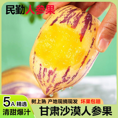 甘肃沙漠民勤人参果现摘新鲜水果