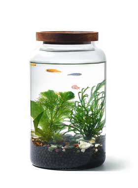 生态瓶水草小鱼缸玻璃办公桌面微景观生日情侣礼物TDIY作业免换水