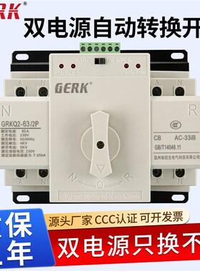 双电源自动切换开关ATS家用220BV两路转换开关单相迷你大电流100A