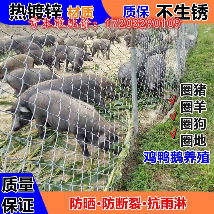 镀锌铁丝网钢丝围栏养猪牛羊z勾花网鸡鸭狗养殖网鱼塘果园防护