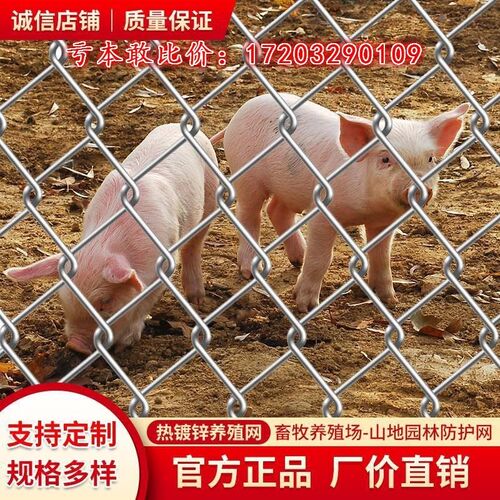 花猪围栏网鸡果园勾养殖圈镀锌铁C丝网围栏鸭防护网羊养护栏牛钢