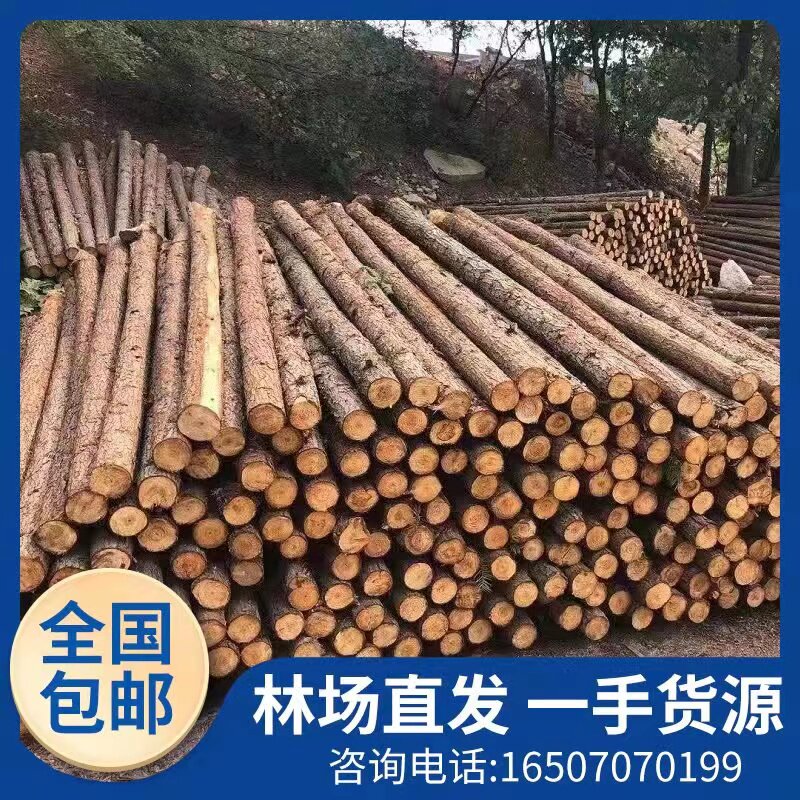杉木圆木桩松木原木o桩防汛木桩绿化支撑杆河道打桩木带皮原木桩