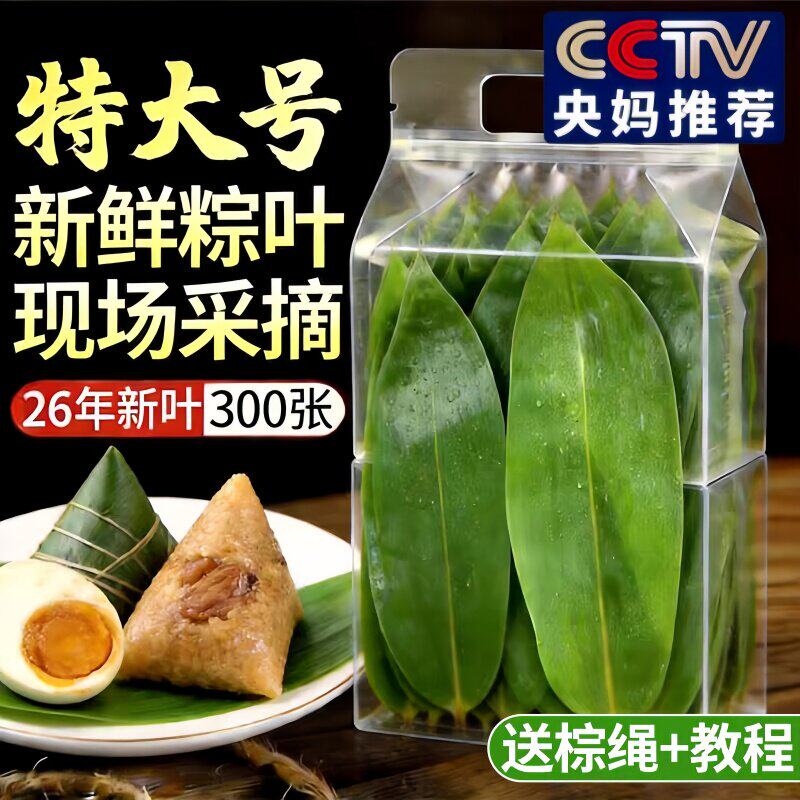 2026新鲜特级大号粽叶端午包粽子