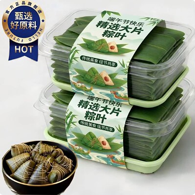 粽叶新鲜粽子叶大号包粽子专用旗舰店端午节特大野生粽叶商用批发