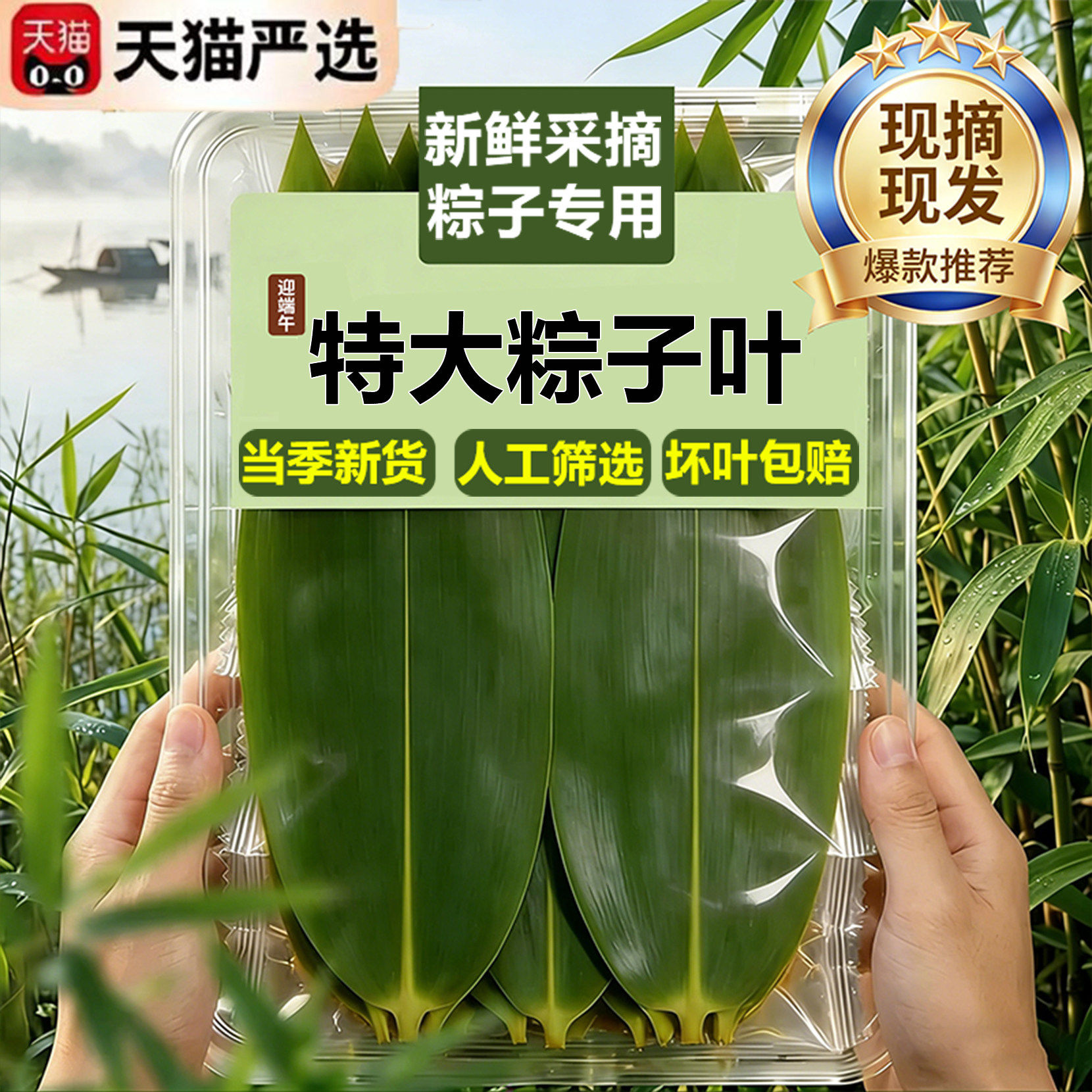 农科院粽叶包粽子专用新鲜粽子叶干特大号官方旗舰店端午商用批发